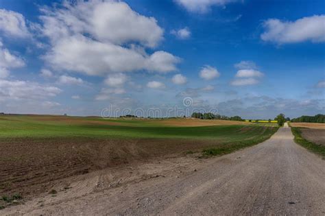 Gravel Country Road Through Farm Fields Stock Image Image Of Blue