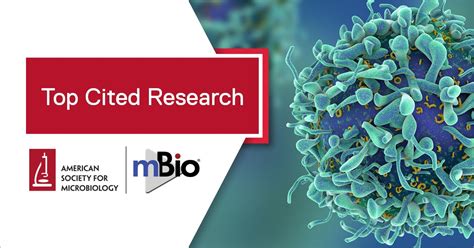 Asm On Twitter Impaired Cytotoxic Cd8 T Cell Response In Elderly