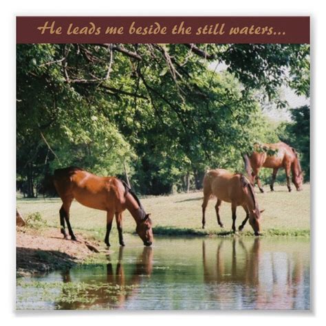 He Leads Me Beside The Still Waters Poster Zazzle