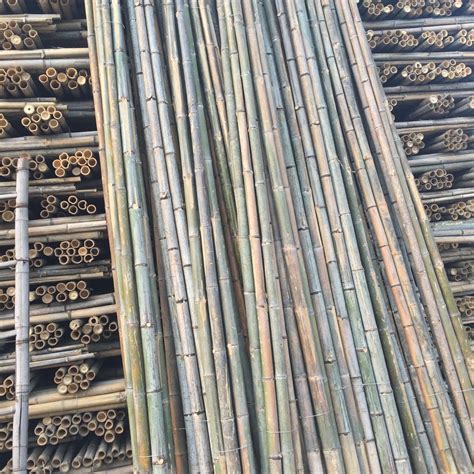 Professional Wholesale Moso Bamboo Cane For Decoration And Construction