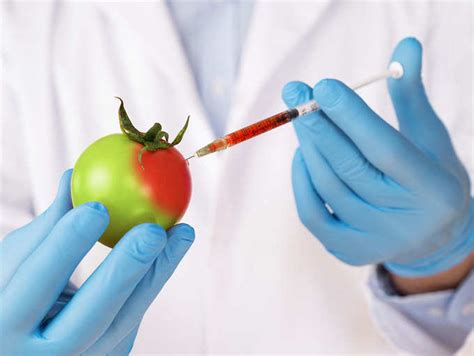 Advantages Of Genetically Modified Foods Biology Ease