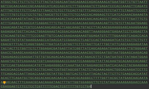 Bioinformatics File Readers And Processing Fasta Fastq And Vcf