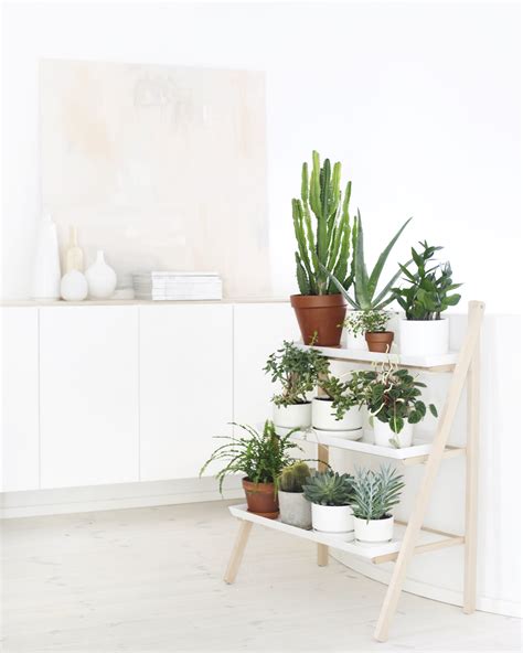 Condo Design Interior Styling Indoor Plants