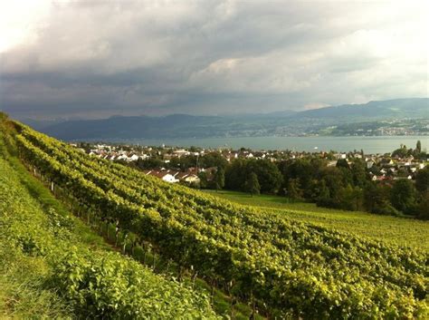 My Travels Through Switzerland 2012 Horgen Lake Of Zurich In The