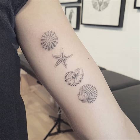 MariCarvalho Tatuagem De Conchas 60 Desenhos E Seus Reais Significados