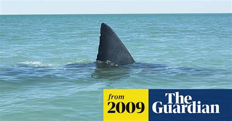 Malaria Freak Storms And Great White Sharks What May Lie Ahead For