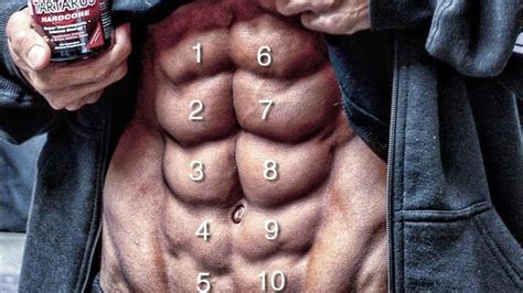 Six Pack Vs Eight Pack Vs Ten Pack Best Abs Abs Workout Video Abs