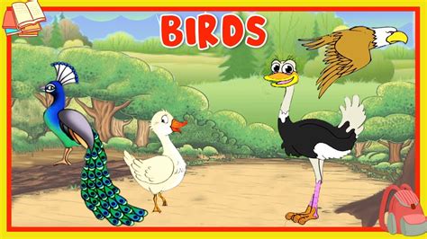 Learn About Birds Preschool Learning For Kids Educational Video For