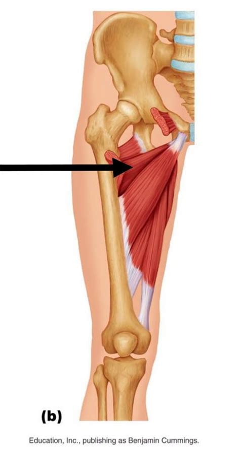 Easing tight muscles requires more than a good bend and hold. Pin on Harder, Faster, Stronger