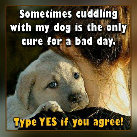 Check spelling or type a new query. I Love to Cuddle with My Dog | Animal quotes, Faith in love, Dogs