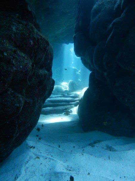 Underwater Caverns Underwater World Underwater Photography
