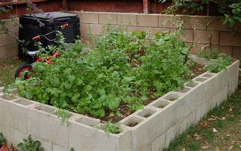 15 Creative Cinder Block Raised Garden Beds - Garden Lovers Club
