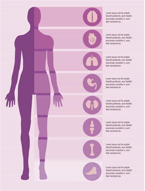 For medical professionals like nurses, doctors and paramedics. Female body infographics elements - Vector download