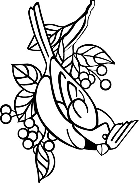 Bird coloring pages printable coloring pages coloring pages for kids coloring books coloring sheets black patches on face bird drawings easy drawings image guide. Cardinal Coloring Pages - GetColoringPages.com