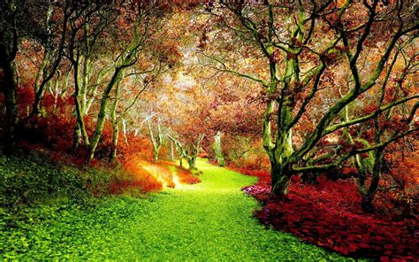 5.45 mb, was updated 2020/12/08 requirements:android: Fall HD Wallpaper | Background Image | 1920x1200 | ID ...