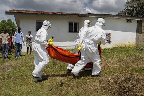 The Ebola Virus Mutated To Better Infect Humans During The 2014 Outbreak The Washington Post