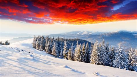 Cold Winter Thick Snow Sunrise Glow Forest Mountains Wallpaper