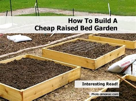 How To Build A Cheap Raised Bed Garden