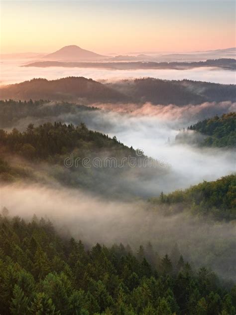 Autumn Sunrise Forest Fall Colorful Valley Full Of Dense Mist Stock
