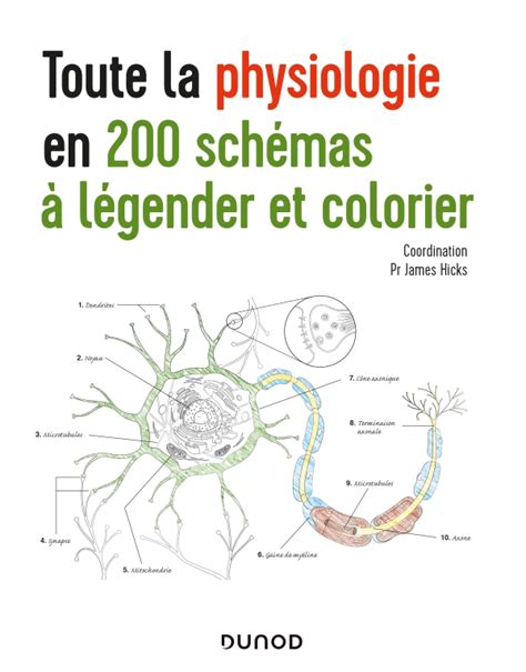 Toute La Physiologie En 200 Schémas à Légender Et Colorier Hachettefr