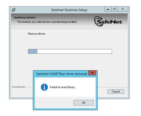 Sentinel Runtime Setup Problem - Gemalto Sentinel Customer Discussions