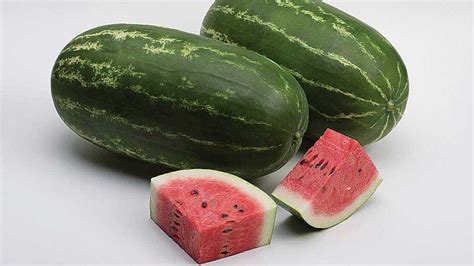 Top Notch Watermelon Varieties Growing Produce