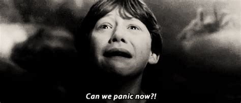 Can We Panic Now By Staky Whi