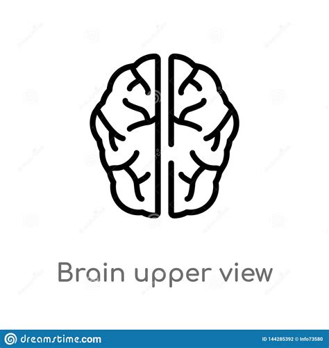 Outline Brain Upper View Vector Icon Isolated Black Simple Line