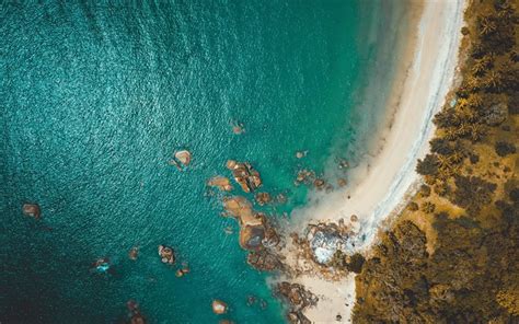 Download Wallpapers Coast Aerial View 4k Ocean Palm Trees Tropical