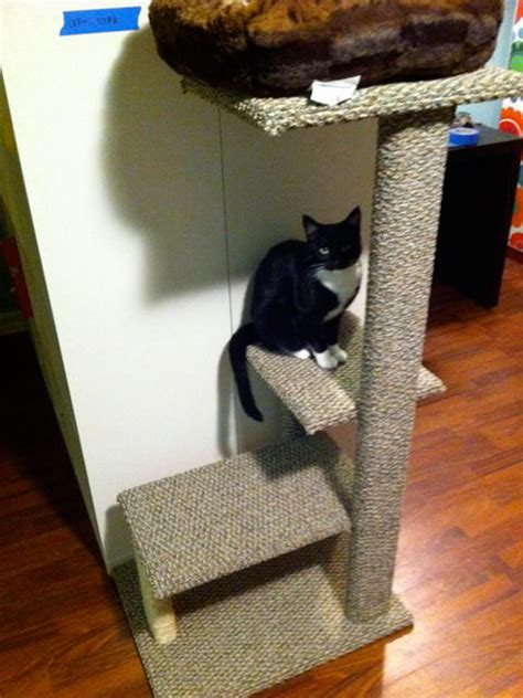 Diy Cat Tower