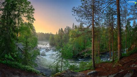Lapland Finland Kitkajoki River Oulanka National Park Trees Viewes
