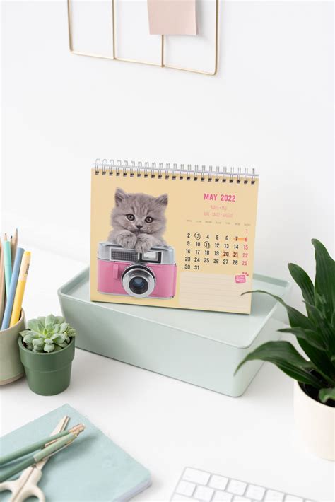 Buy Grupo Erik Official Studio Pets Cats Calendar 2022 Desktop