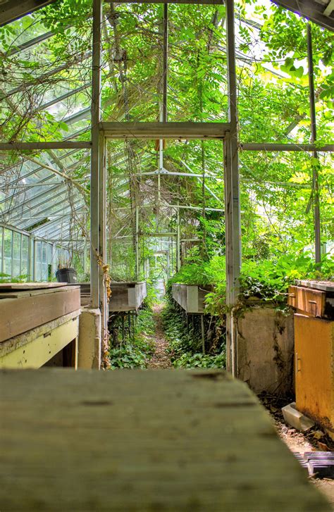 Abandoned Greenhouse Etsy
