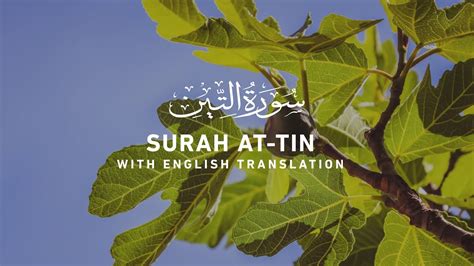 Surah Tin Quran Recitation With English Translation Youtube