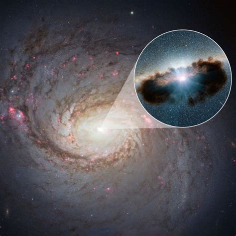 Sneaking A Peek Inside A Black Holes Disk Science Wire