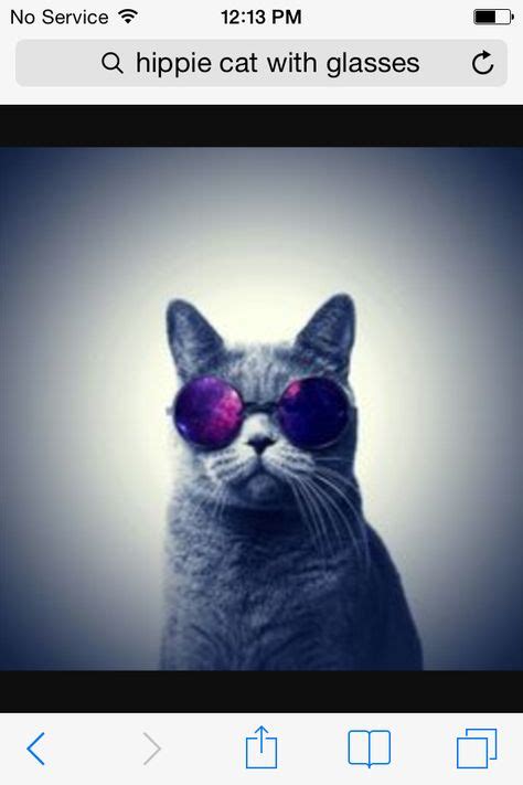16 Cats That Have Swag Ideas Cats Cute Cats Crazy Cats