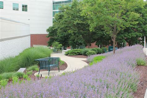 Don't see your favorite business? Hospital Landscaping Services - GroundSystems