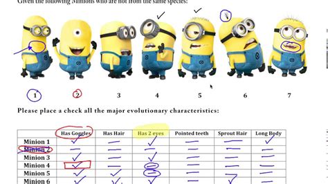Ask a question or answer a question. Cladogram Practice Worksheet Answers - Promotiontablecovers