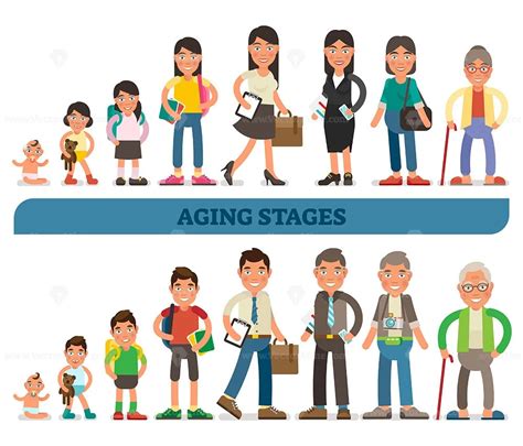 Aging Stages Conceptual Vector Illustration Collection From Baby To