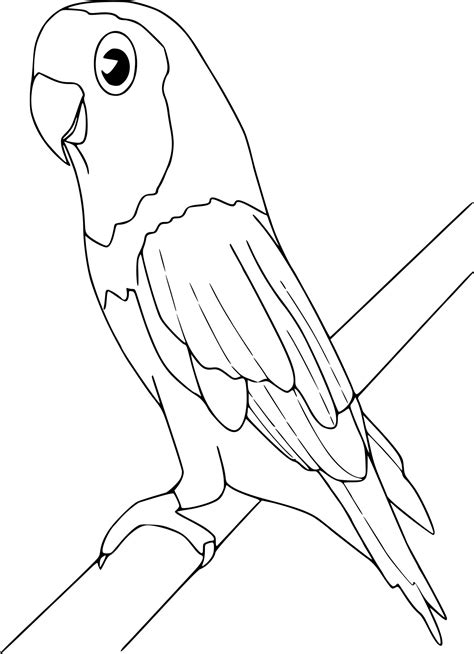 Coloriage Oiseau Ara à Imprimer