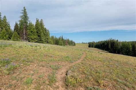 Mount Misery — Washington Trails Association