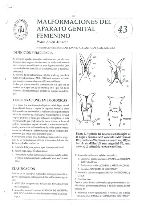 Pdf Malformaciones Del Aparato Genital Femenino