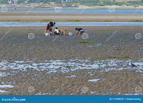 Diggers at Siletz Bay Park in Lincoln City, Oregon Editorial
