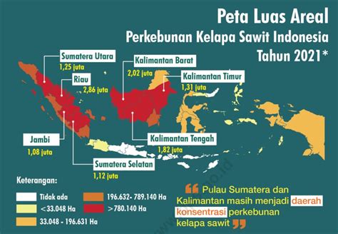 Ada Daerah Penghasil Kelapa Sawit Terbesar Di Indonesia Mana Saja