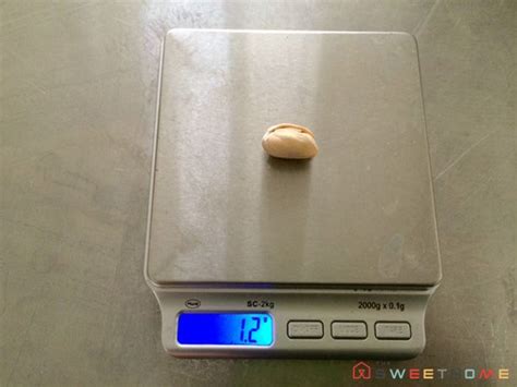 Belk.com has been visited by 100k+ users in the past month The Best Kitchen Scale | Cool kitchens, Kitchen scale ...