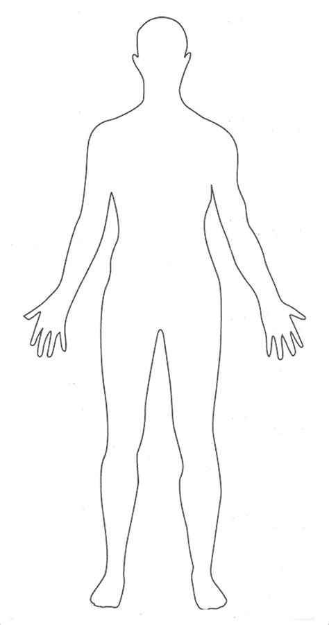 Body Clipart Simple Human Body Simple Human Transparent Free For