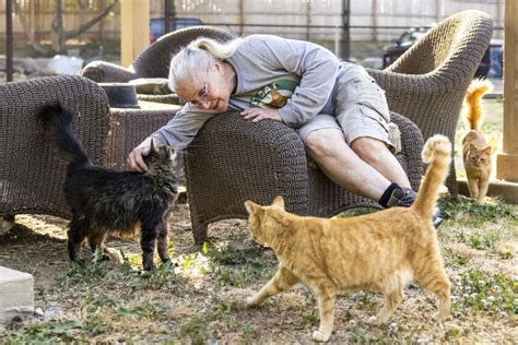 Visiting Cat Heaven Rural Rescue Outside Chicago Houses Feral Felines