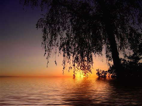 Kostenlose Foto Landschaft Baum Wasser Natur Horizont Licht Himmel Sonne Sonnenaufgang