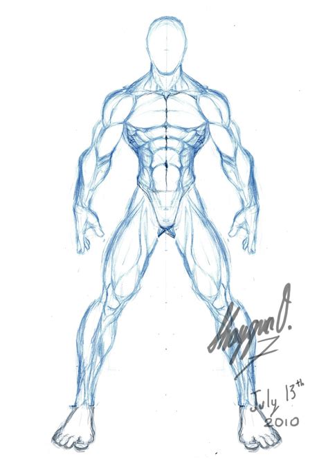Male Anatomy Template Front By Shintenzu On Deviantart Anatomy