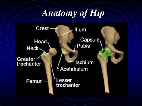 Ppt Hip Arthroplasty Powerpoint Presentation Free Download Id745056